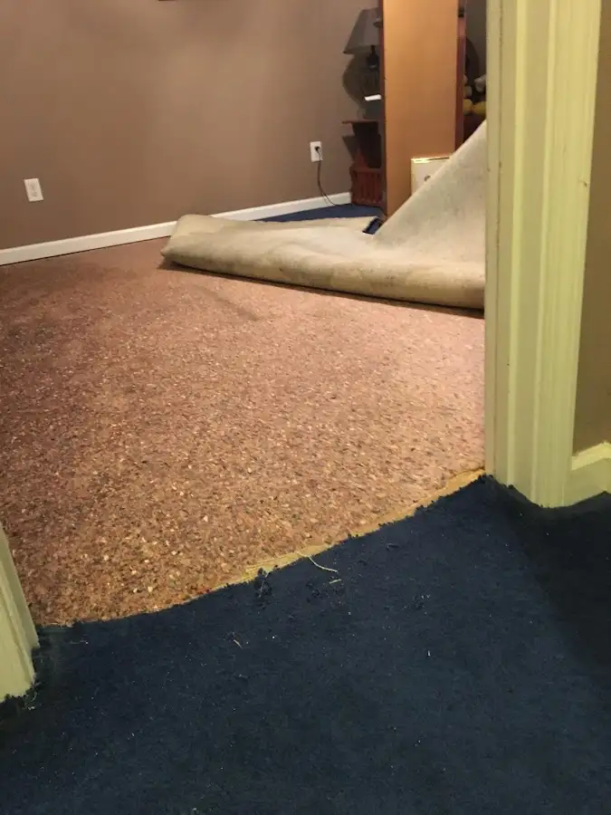 Carpet pad removal revealing water damage during Drying & Dehumidification in Lysander