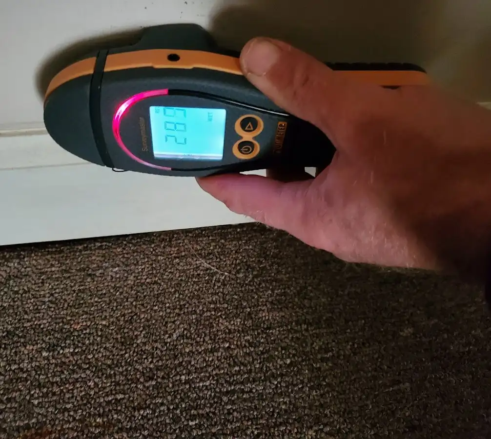 Moisture detection at baseboard during Burst Pipe Cleanup in Lysander